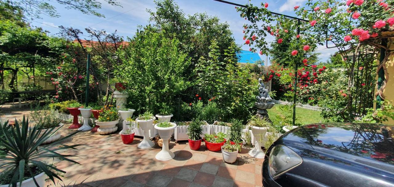 Holiday home Near Sea Odesa
